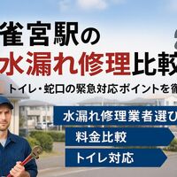画像3537