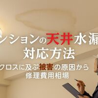 画像4159