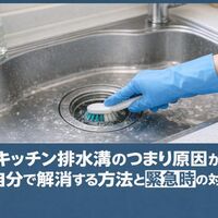 画像4574