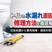 画像4934