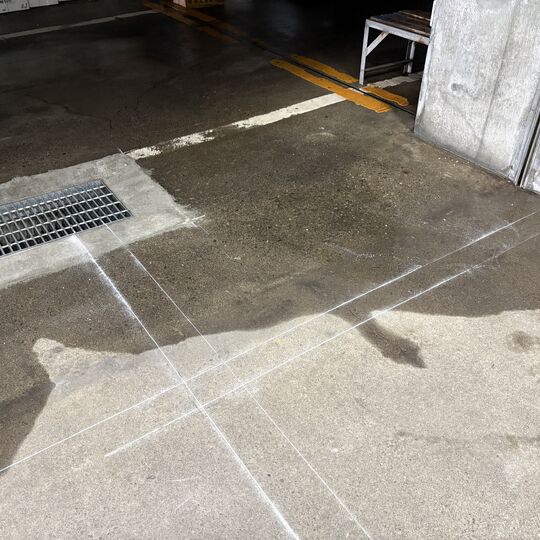 画像4985