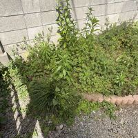 画像4995