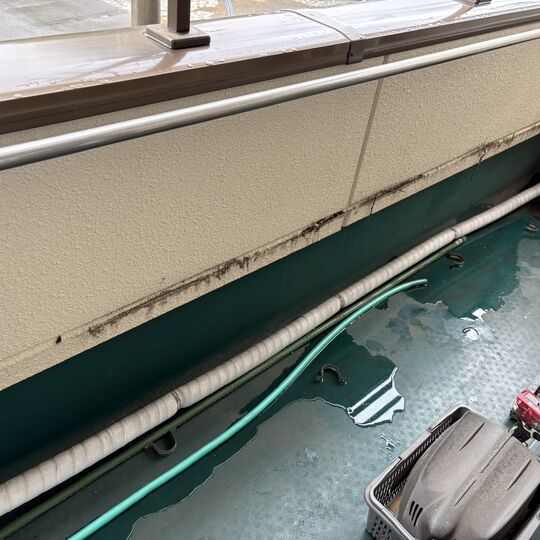 画像5194