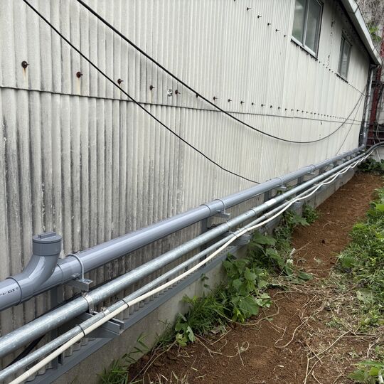 画像5199