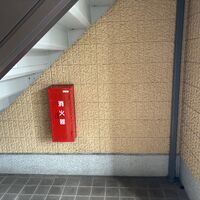 画像5222