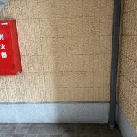 画像5226