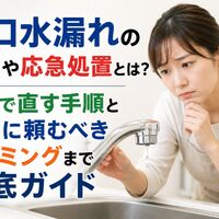 画像5239