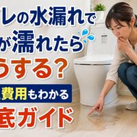 画像5271