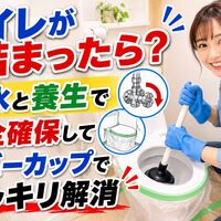 画像5333