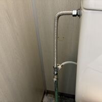 画像5396