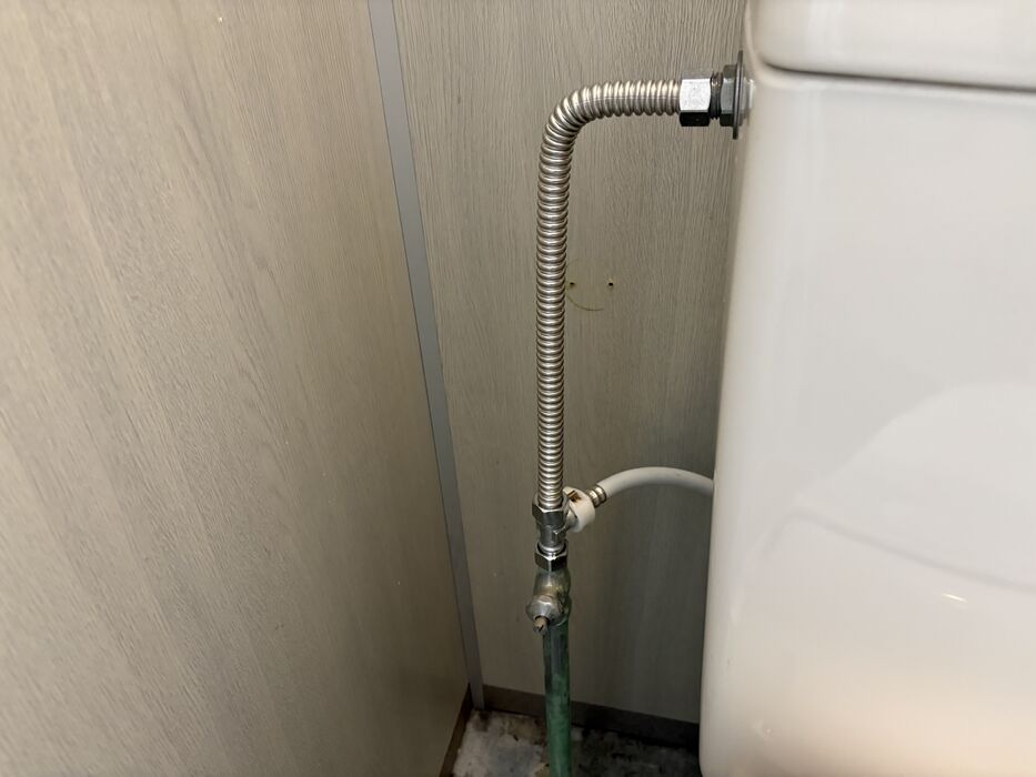 画像5396