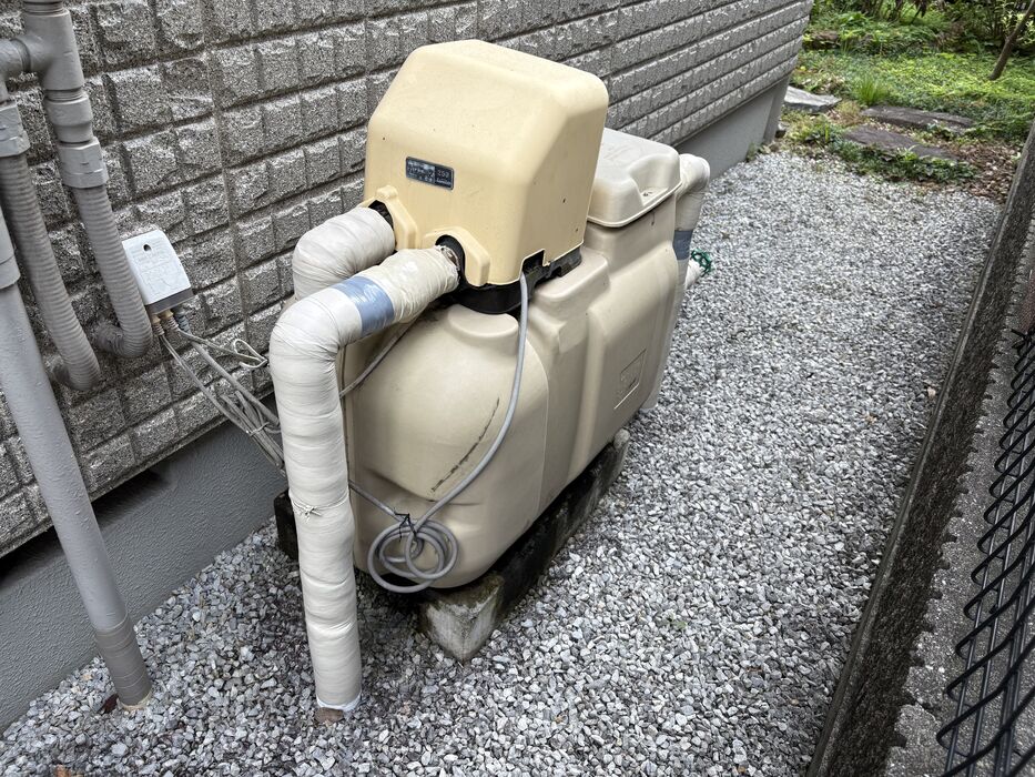 画像5487