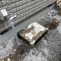 画像5489