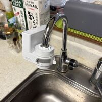 画像5493